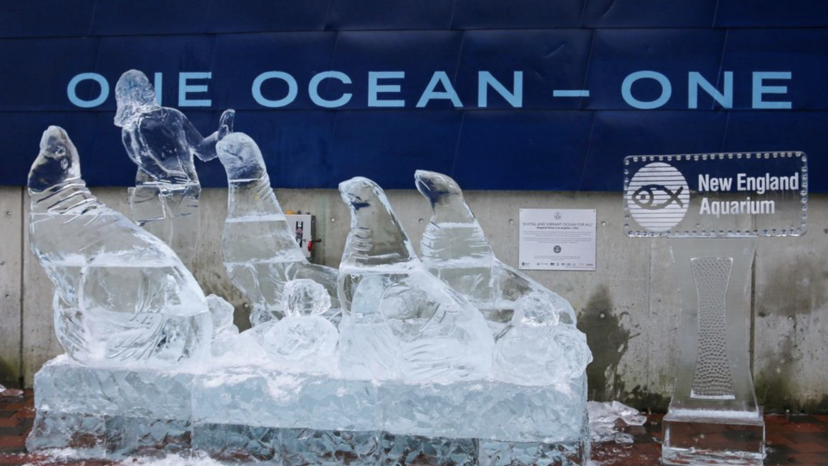 New England Aquarium’s Ice Sculpture Honors Sea Lions This New Years Eve (2023)